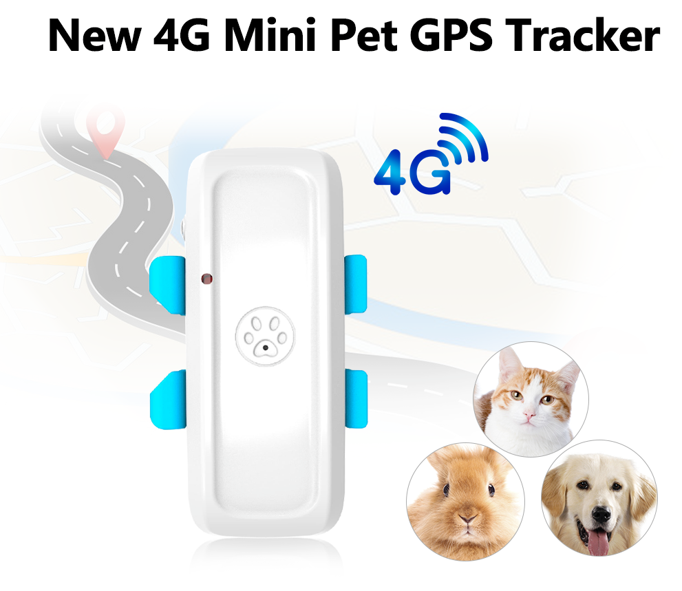 New Real 4G Pet GPS Tracker TK911Pro Realtime Tracking Dog Animal Finder TKSTAR