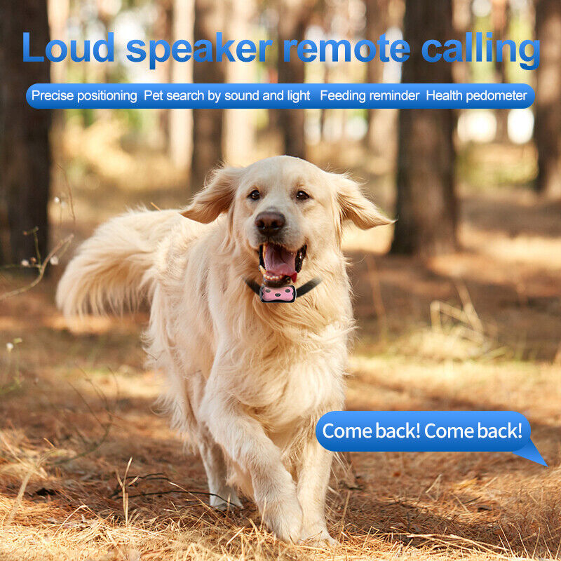 New 4G Mini Pet GPS Tracker Dog Cat GPS Collar Waterproof IP68 Voice Monitoring