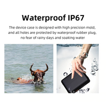Load image into Gallery viewer, Cow Locator 4G LTE GPS Tracker with Solar Power 9000mAh Long Standby Sheep Horse