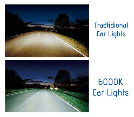 H3 12V 55W Xenon White 6000k Halogen Fog Car Headlight Lamp Globes Bulbs LED HID