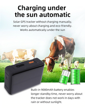 Load image into Gallery viewer, Cow Locator 4G LTE GPS Tracker with Solar Power 9000mAh Long Standby Sheep Horse
