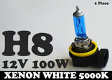 1x H8 12V 100W Xenon White 5000k Halogen Blue Car Headlight Lamp Globes Bulb HID