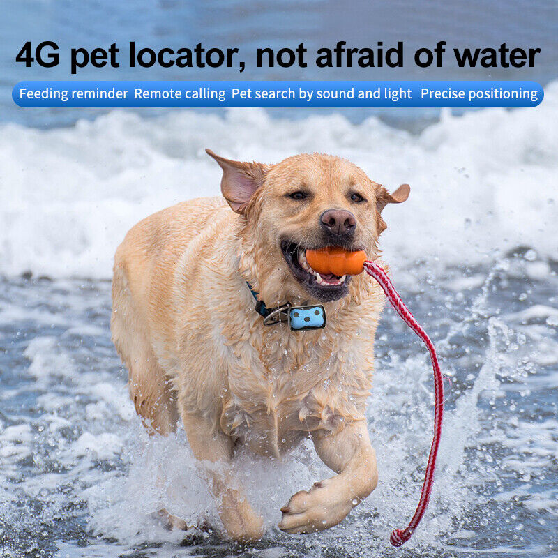 New 4G Mini Pet GPS Tracker Dog Cat GPS Collar Waterproof IP68 Voice Monitoring