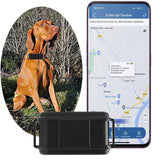 4G Animal GPS Tracker Cow Camel Sheep Dog GPS Locator Long Standby Waterproof