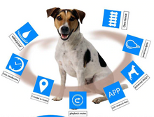 Load image into Gallery viewer, 3G/4G Pet GPS Tracker Mini Animal Locator Tracking WiFi Device Cat Dog -Free APP