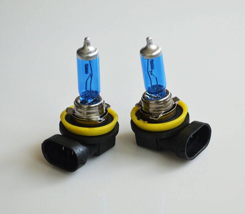 H11 12V 100W Xenon White 6000k Halogen Car Headlight Lamp Globes Bulbs LED HID