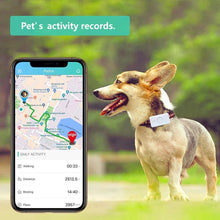Load image into Gallery viewer, New Global 4G LTE Personal Use GPS Locator Pet Dog GPS Tracker Voice Monitor SOS