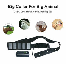 Load image into Gallery viewer, 4G/3G Solar GPS Tracker Collar Waterproof Real Time Locator Large Pet Cow Horse