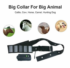 4G/3G Solar GPS Tracker Collar Waterproof Real Time Locator Large Pet Cow Horse