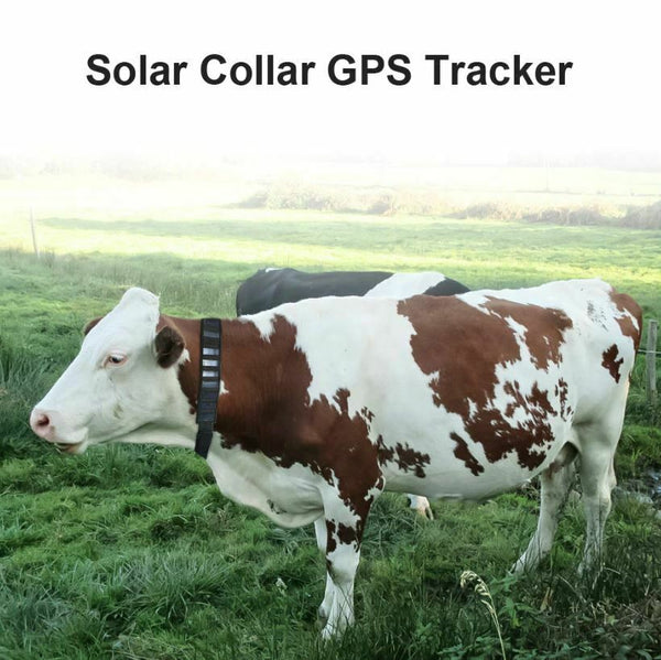 4G/3G Solar GPS Tracker Collar Waterproof Real Time Locator Large Pet Cow Horse