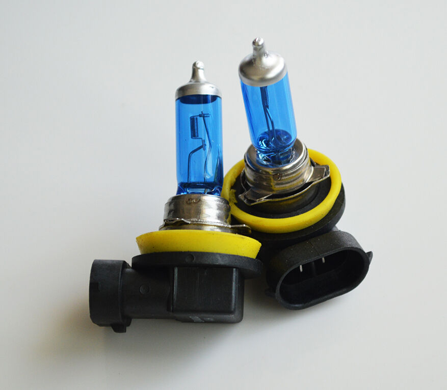 H11 12V 100W Xenon White 6000k Halogen Car Headlight Lamp Globes Bulbs LED HID