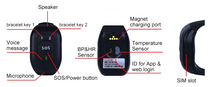 Load image into Gallery viewer, 4G GPS Elderly/Senior Smart Bracelet Watch Tracker Blood Pressure